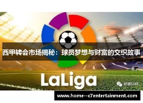 西甲转会市场揭秘：球员梦想与财富的交织故事