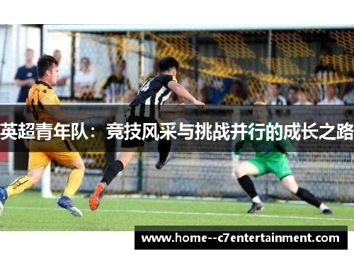 英超青年队：竞技风采与挑战并行的成长之路