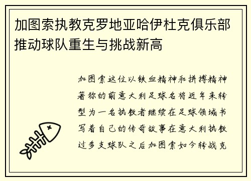 加图索执教克罗地亚哈伊杜克俱乐部推动球队重生与挑战新高